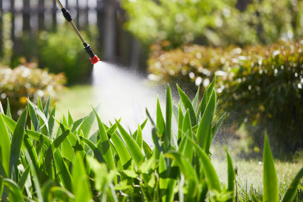 24/7 Emergency Wasp Removal experts in Leland Grove, IL