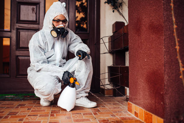 Reliable Wasp Removal contractor in Leland Grove, IL by Show Me Pest Control