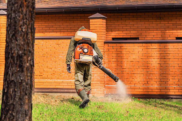 Top rated local Wasp Removal specialists in Leland Grove, IL